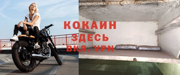 спайс Беломорск
